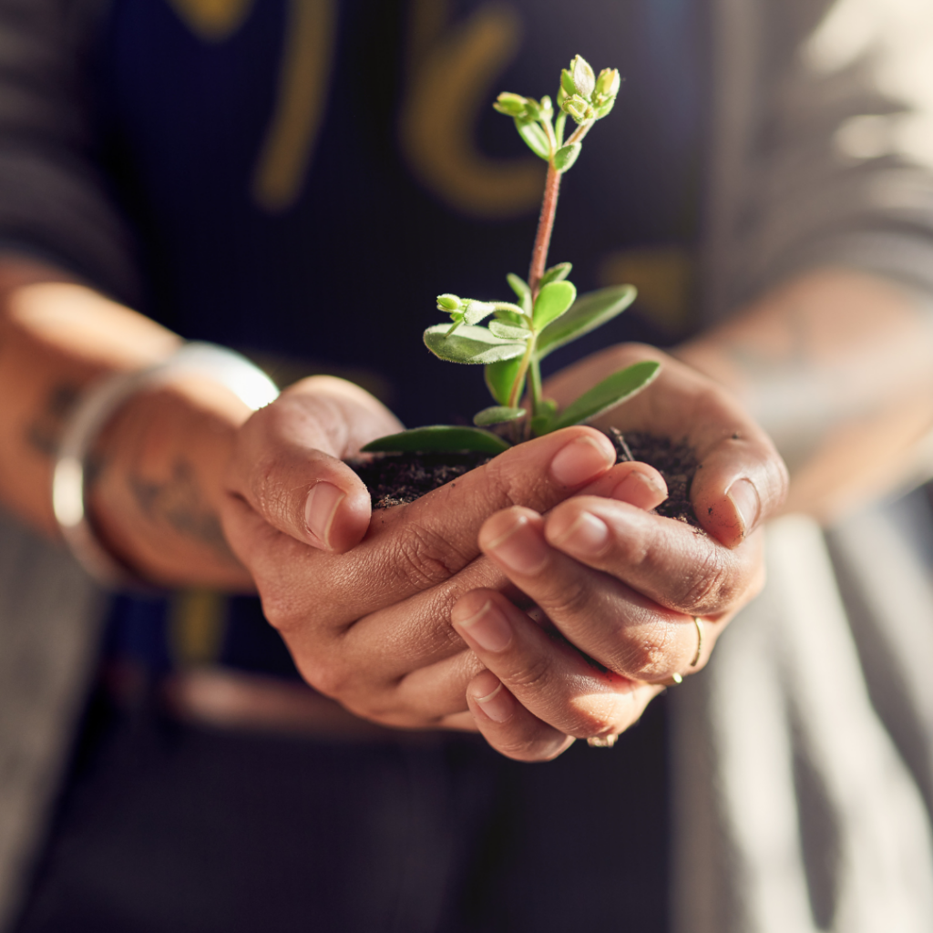 Ganzheitliches Coaching Mindset, Bewegung, Ernährung